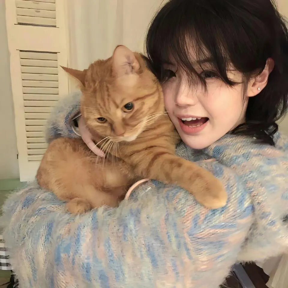 果栏中的江湖大嫂粤语